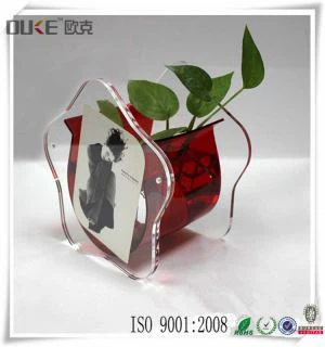 برتر با کیفیت بالا طراحی سفارشی آکواریوم اکریلیک مخزن