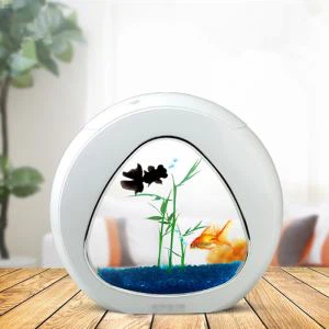 تامین کننده چینی سفارشی اکریلیک مخزن ماهی شیشه ای آکواریوم برای فروش